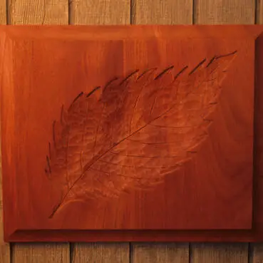 Which Wood, Why