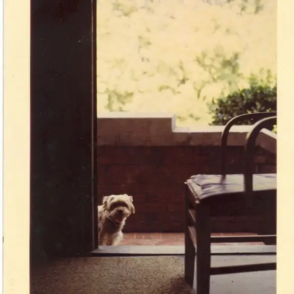 Ratso’s One Lone Post