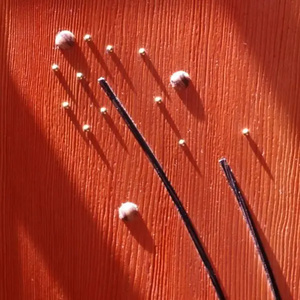 Shadows