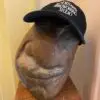 NWS Hat